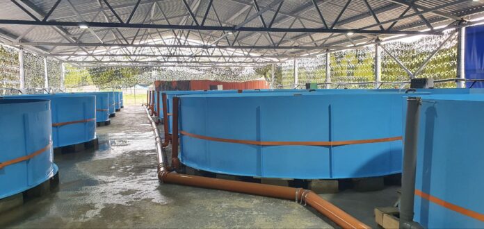 Img 20220603 172512 216.jpg