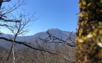 В Туапсе управление развития курортов совместно с детским центром посетили дольмены