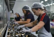 Туапсинские сельхозпроизводители примут участие в ярмарке