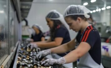 Туапсинские сельхозпроизводители примут участие в ярмарке